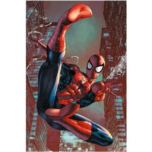 ME Plagát Spider-Man - Web Sling 019