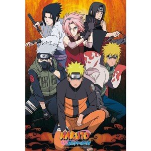 Plagát Naruto Shippuden (21)