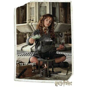Plagát Harry Potter - Hermione Granger (62)