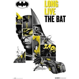 Plagát Batman - 80th Anniversary (140)