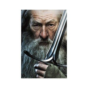 Plagát Lord of the Rings - Gandalf (180)
