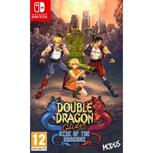 Double Dragon Gaiden: Rise of the Dragons (Switch)