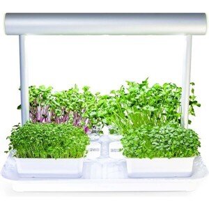 Microgreens by Leaf Learn Mini Starter Pack