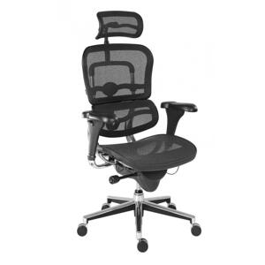 Ergohuman - kancelárska stolička, sedák látka čierna, operadlo sieťovina