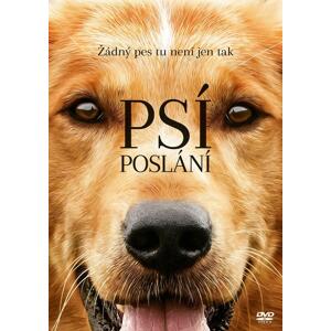 Psia duša N02030 - DVD film