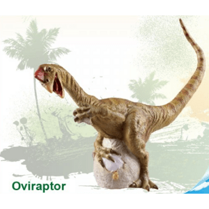 Mikro Dinosaurus Oviraptor 19cm v sáčku 50699 - Dinosaurus