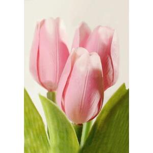 Tulipán kus 40cm svetloružový F244-P2 - Umelé kvety