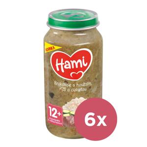 6x HAMI Príkrm mäsovo-zeleninový Brokolica s hovädzím, ryžou a cuketou 250g, 12+ VP-F184385