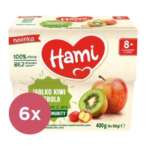 6x HAMI Príkrm ovocný 100% ovocie jablko kivi acerola 400g VP-F184397