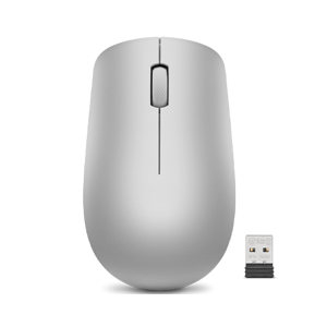 Lenovo 530 Wireless Mouse Platinum Grey GY50Z18984 - Wireless optická myš