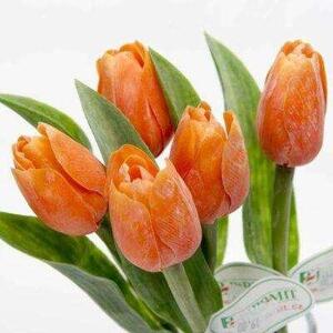 Tulipán kus 40cm oranžový F244-O1 - Umelé kvety