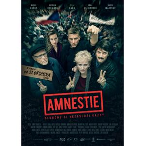 Amnestie N03397 - DVD film