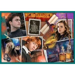 Trefl Trefl Puzzle 10v1 -  Vo svete Harryho Pottera 90392